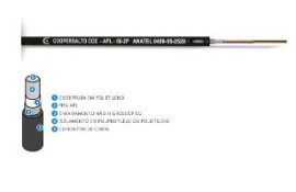 CABO CCE APL 50.04 PARES