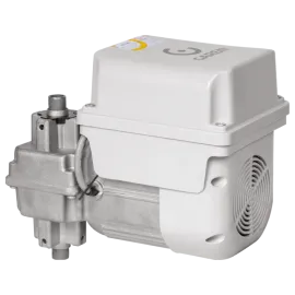 BV DUO RAMP 1/4    - R.P