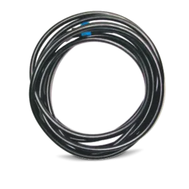 La�o Indutivo   - R.P