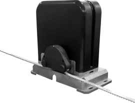 DZ INTENSE BLDC CORREIA   - R.P