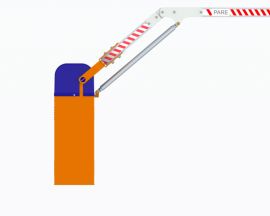 MAX ARTICULADA   - R.P